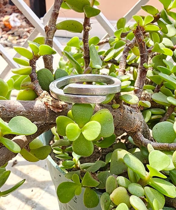 Ranga Ring for astrological remedies and weight loss manage BP, adjustable ranga challa